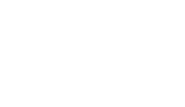 LP Record Lwns 2021.0.25 Release